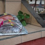 Fangfrischen Fisch kann man auf den Gili-Islands jeden Tag haben