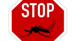 Malaria-Prophylaxe auf Bali